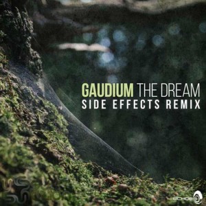 GAUDIUM - Stories of a viking (Iboga Records)